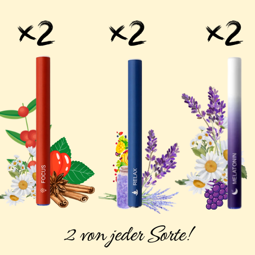 H11-Bar Bestseller! x2 von jeder Sorte! Relax, Sleep, Fokus